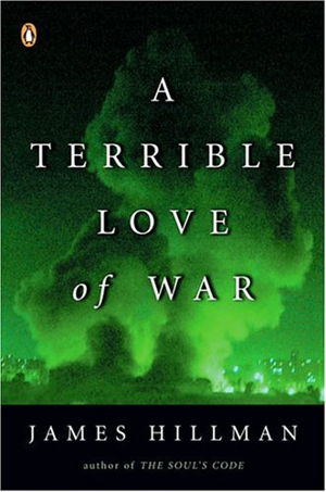 Cover art for A Terrible Love of War