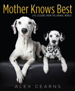 Cover art for Mother Knows Best