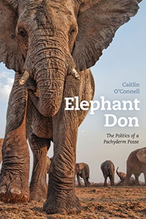 Cover art for Elephant Don