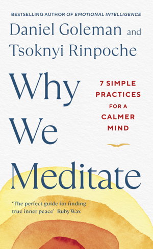 Cover art for Why We Meditate