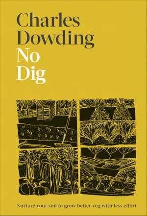 Cover art for No Dig