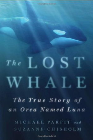 Cover art for The Lost Whale