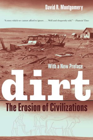 Cover art for Dirt