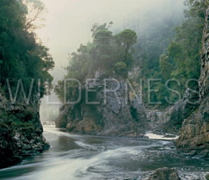 Cover art for Wilderness