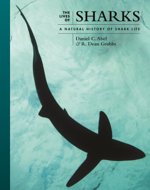 Cover art for The Lives of Sharks