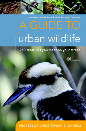 Cover art for A Guide To Urban Wildlife 250 Creatures to Meet on Your Street