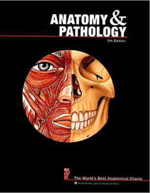 Cover art for Anatomy and Pathology