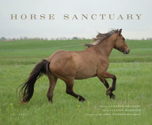 Cover art for Horse Sanctuary