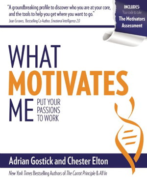 Cover art for What Motivates Me