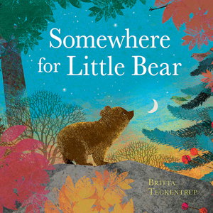 Cover art for Somewhere for Little Bear