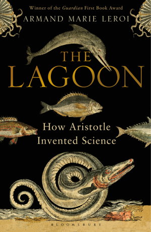 Cover art for Lagoon