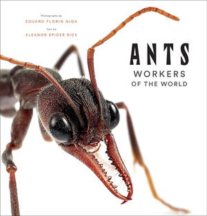 Cover art for Ants: Workers of the World