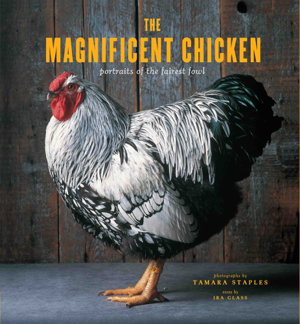 Cover art for Magnificent Chicken