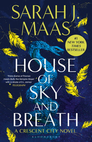 Cover art for House of Sky and Breath