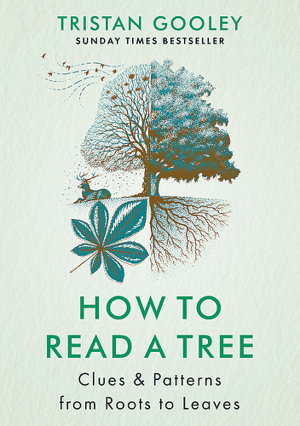 Cover art for How to Read a Tree