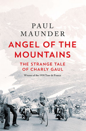 Cover art for Angel of the Mountains