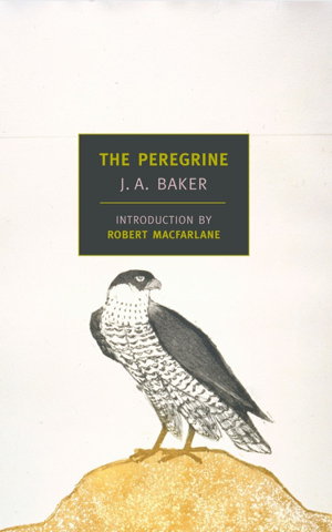 Cover art for The Peregrine
