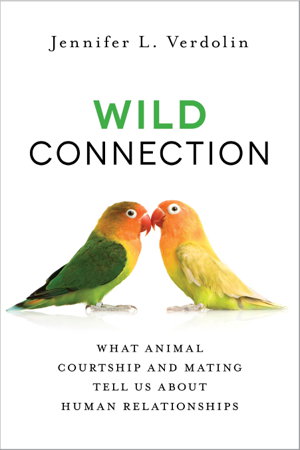 Cover art for Wild Connection