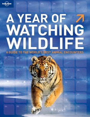 Cover art for A Year of Watching Wildlife