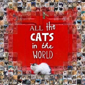 Cover art for All the Cats in the World