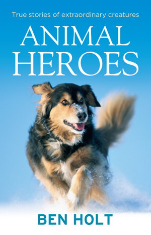 Cover art for Animal Heroes