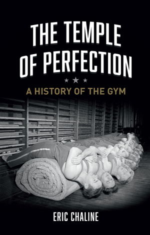 Cover art for The Temple of Perfection