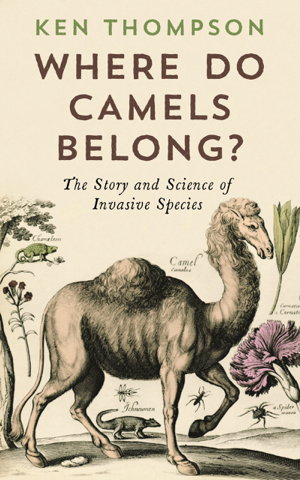 Cover art for Where Do Camels Belong?