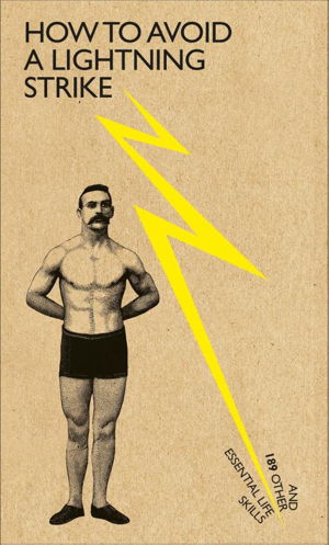 Cover art for How to Avoid a Lightning Strike