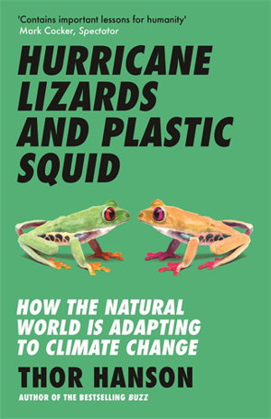Cover art for Hurricane Lizards and Plastic Squid