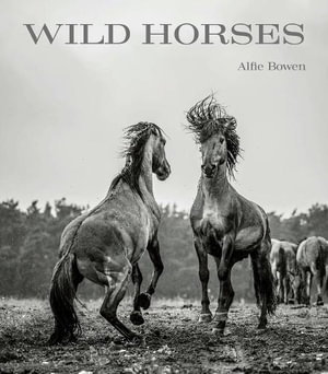Cover art for Wild Horses