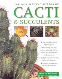 Cover art for Practical Illustrated Guide to Growing Cacti & Succulents