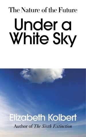 Cover art for Under a White Sky