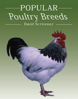 Cover art for Popular Poultry Breeds