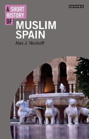 Cover art for Short History of Muslim Spain