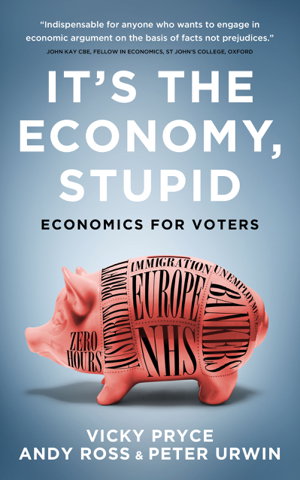 Cover art for It's the Economy Stupid Economics for voters