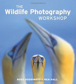 Cover art for Wildlife Photography Workshop