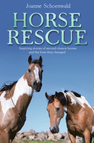 Cover art for Horse Rescue