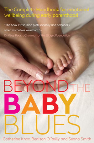 Cover art for Beyond the Baby Blues