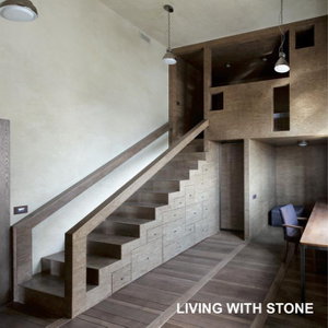 Cover art for Living with Stone
