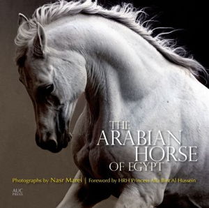 Cover art for The Arabian Horse of Egypt