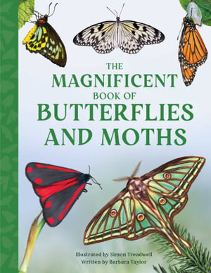 Cover art for Magnificent Book of Butterflies and Moths