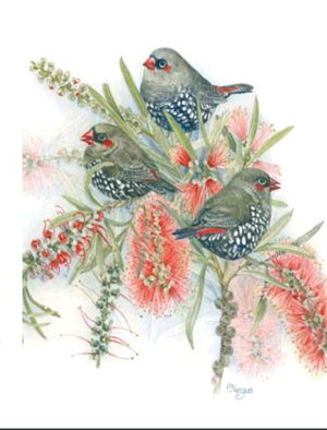 Cover art for Patricia Negus Firetail Finches Single Card