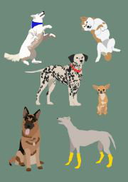 Cover art for Bunyip Pooch Party Single Greeting Card