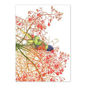 Cover art for Studio Nikulinsky Rainbow Lorikeets & Flame Tree 2 Single Greeting Card