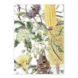 Cover art for Studio Nikulinsky Wildflowers WA Jarrah Single Card