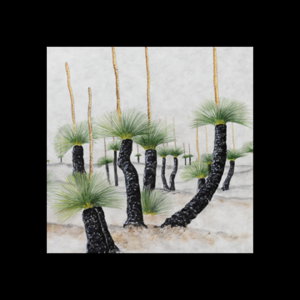 Cover art for Studio Nikulinsky Desert Grasstrees