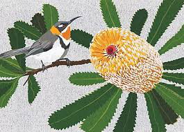 Cover art for Our Backyard WA Banksia and Bird Single Greeting Card