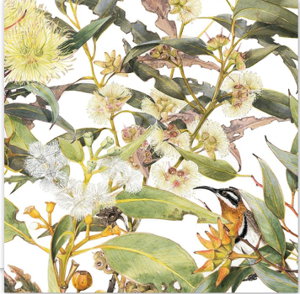 Cover art for Studio Nikulinsky Eucalyptus & Spinebill