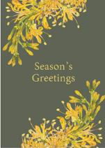 Cover art for Studio Nikulinsky Seasons Greetings Single Christmas Card
