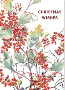 Cover art for Holly Grevillea Christmas Wishes